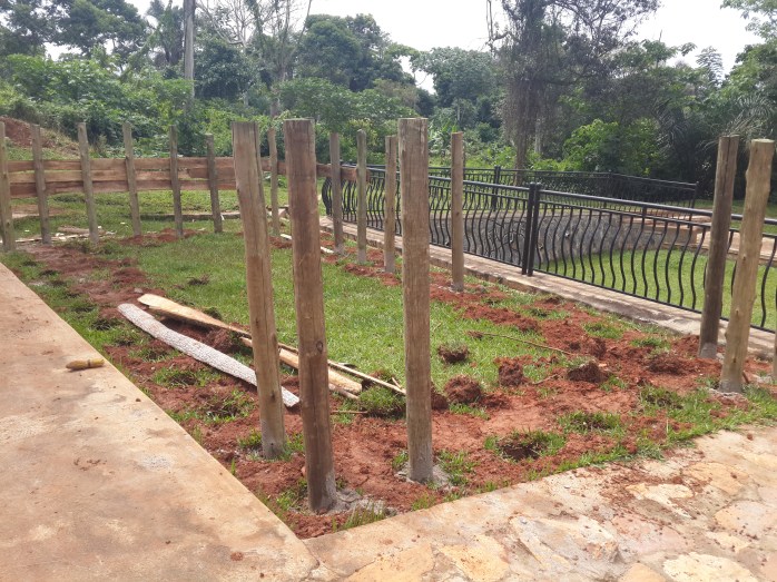 Tank B - Under Construction 