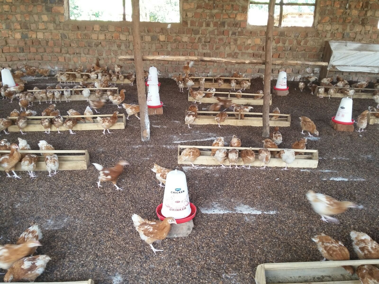 Feeding Time in our new home