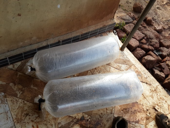 Fry packed and ready to go 