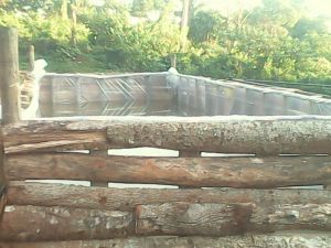 Water test to find leaks 