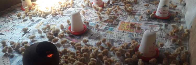 Local technology for temparature control