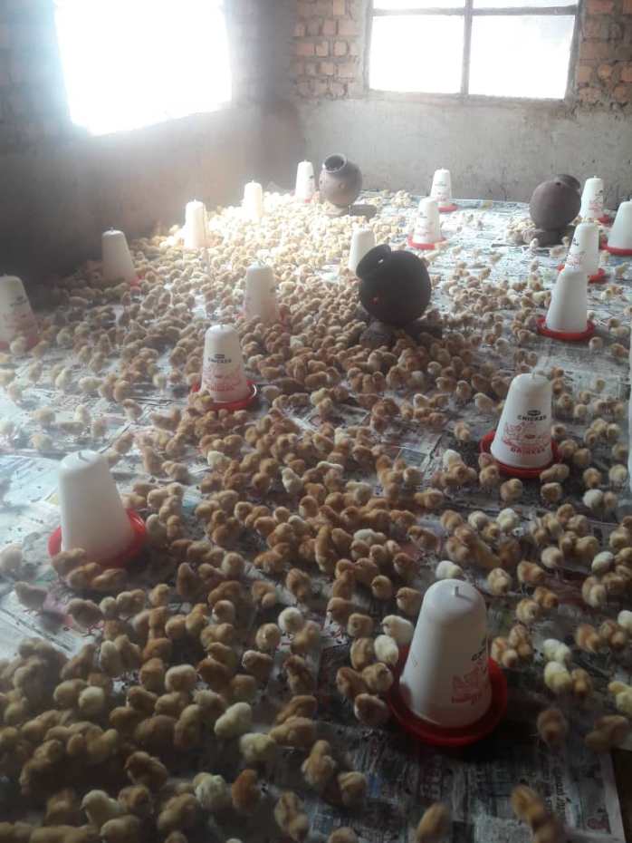 All active and ready